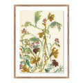 Meadow Rue No. 1