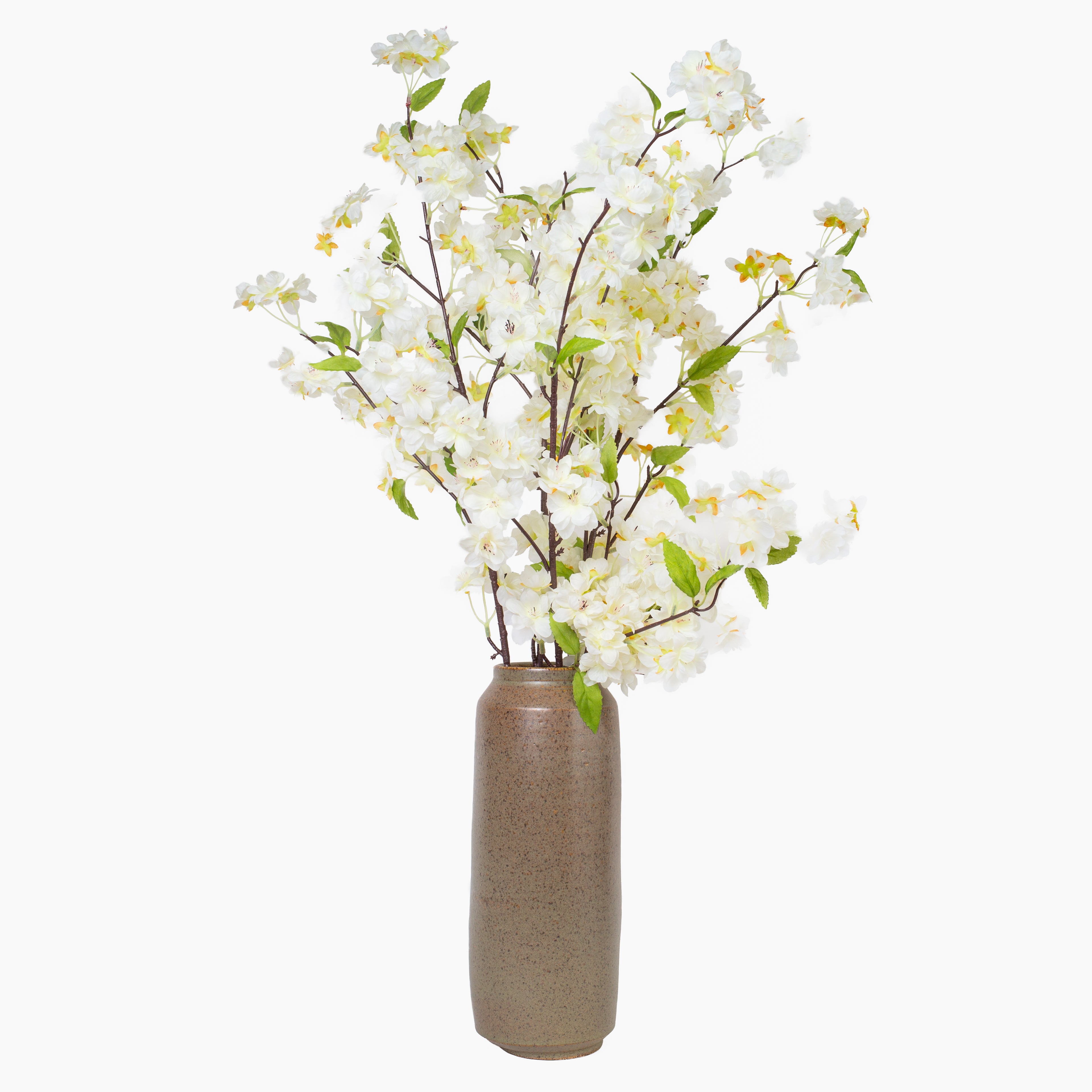 White Cherry Blossom Branch