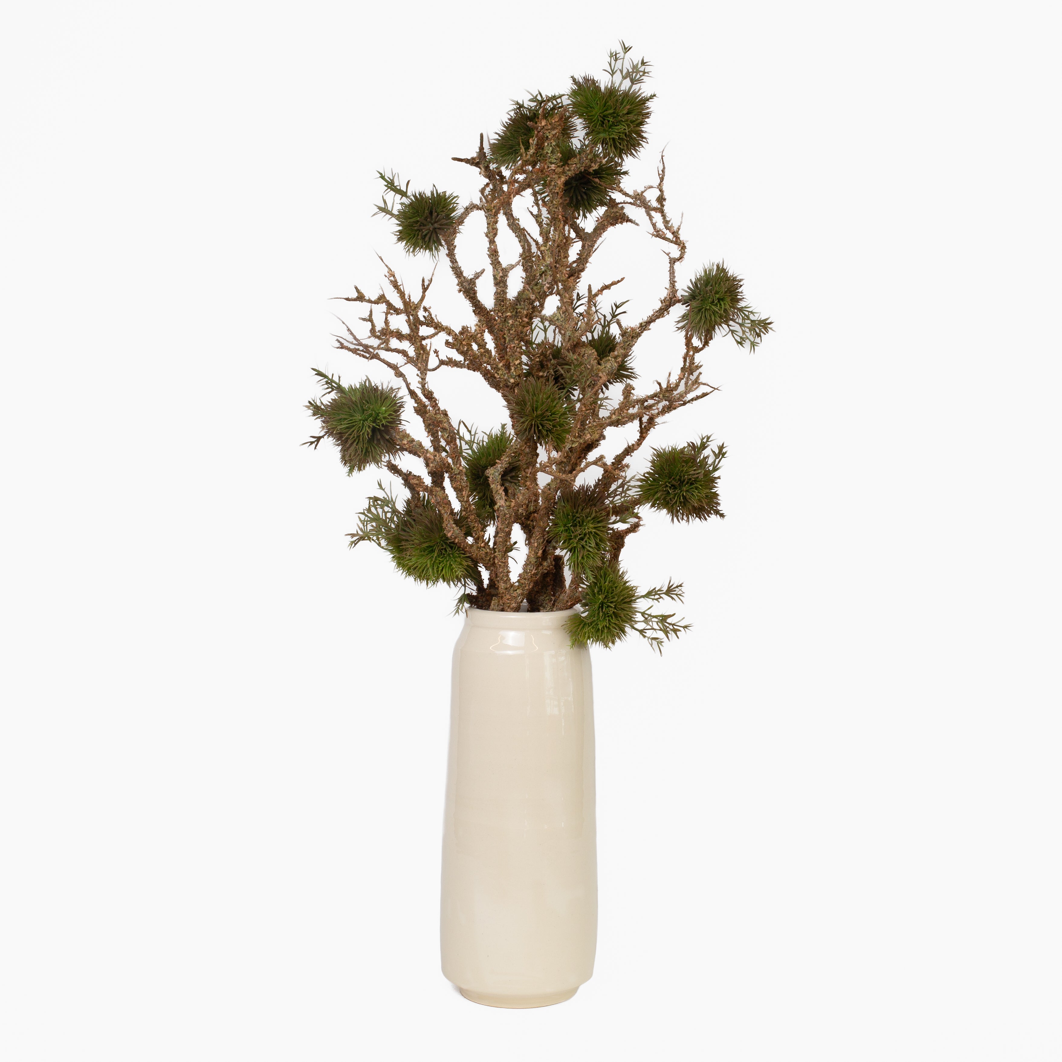 Moss Branch Stem