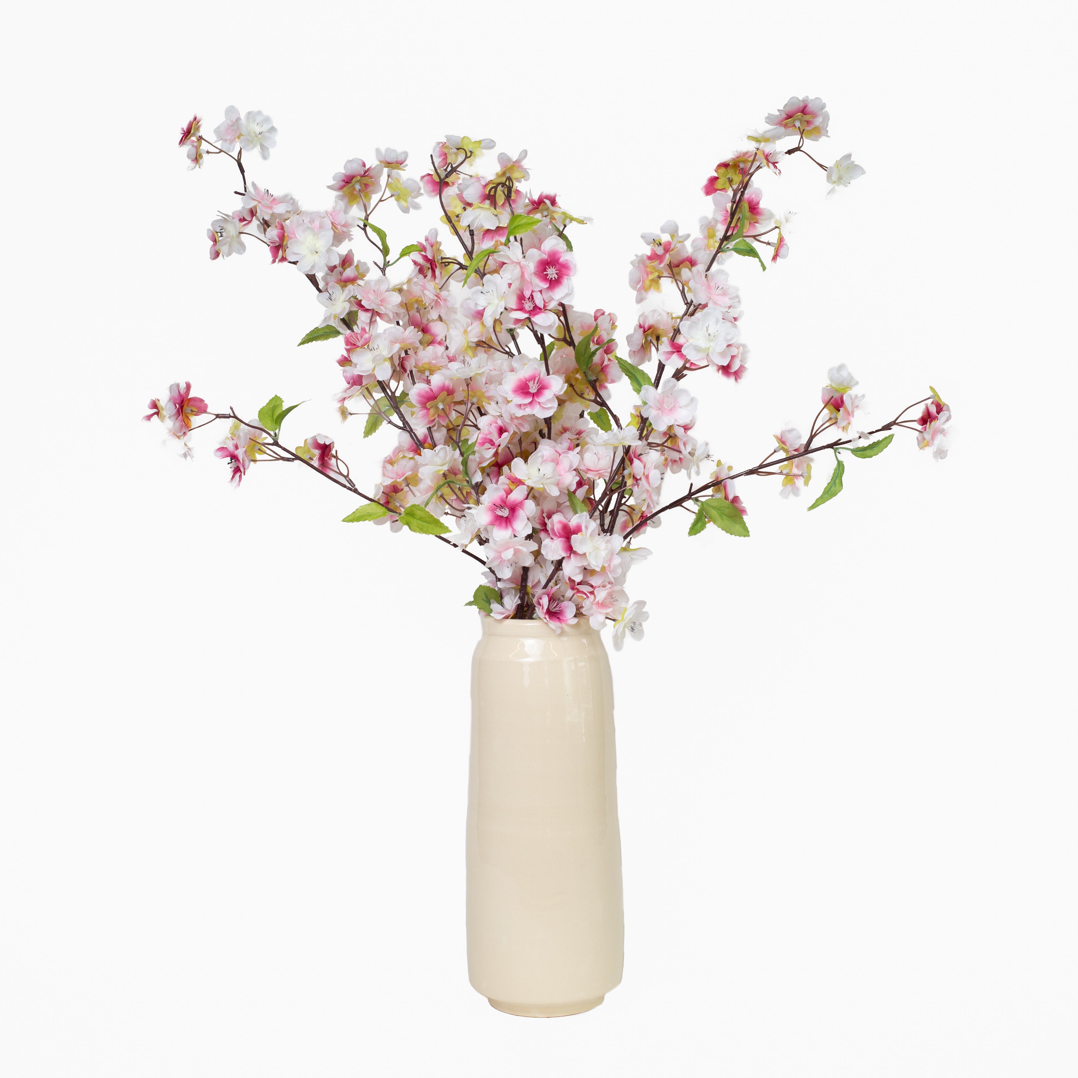 Cherry Blossom Branch