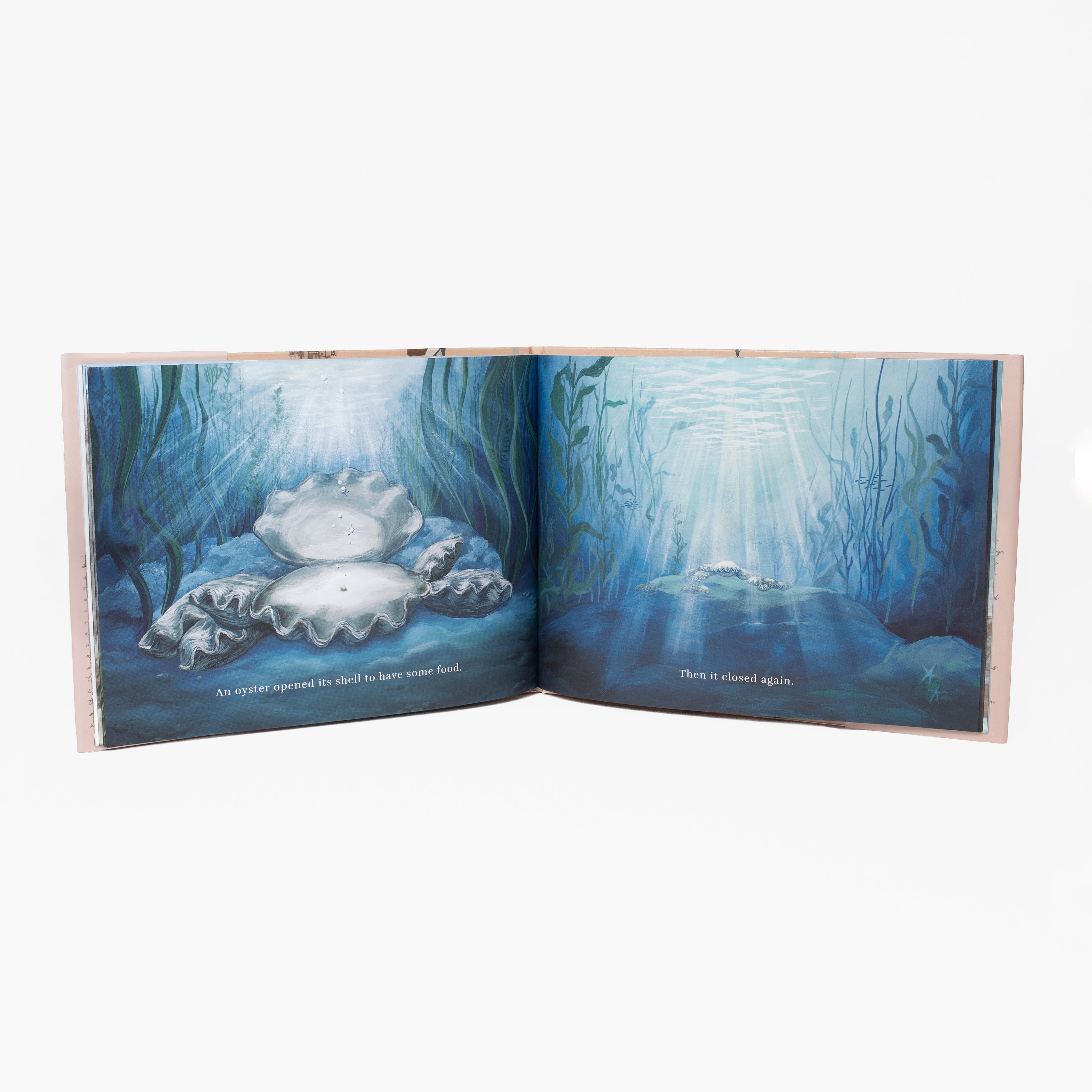 A Sand Story Book
