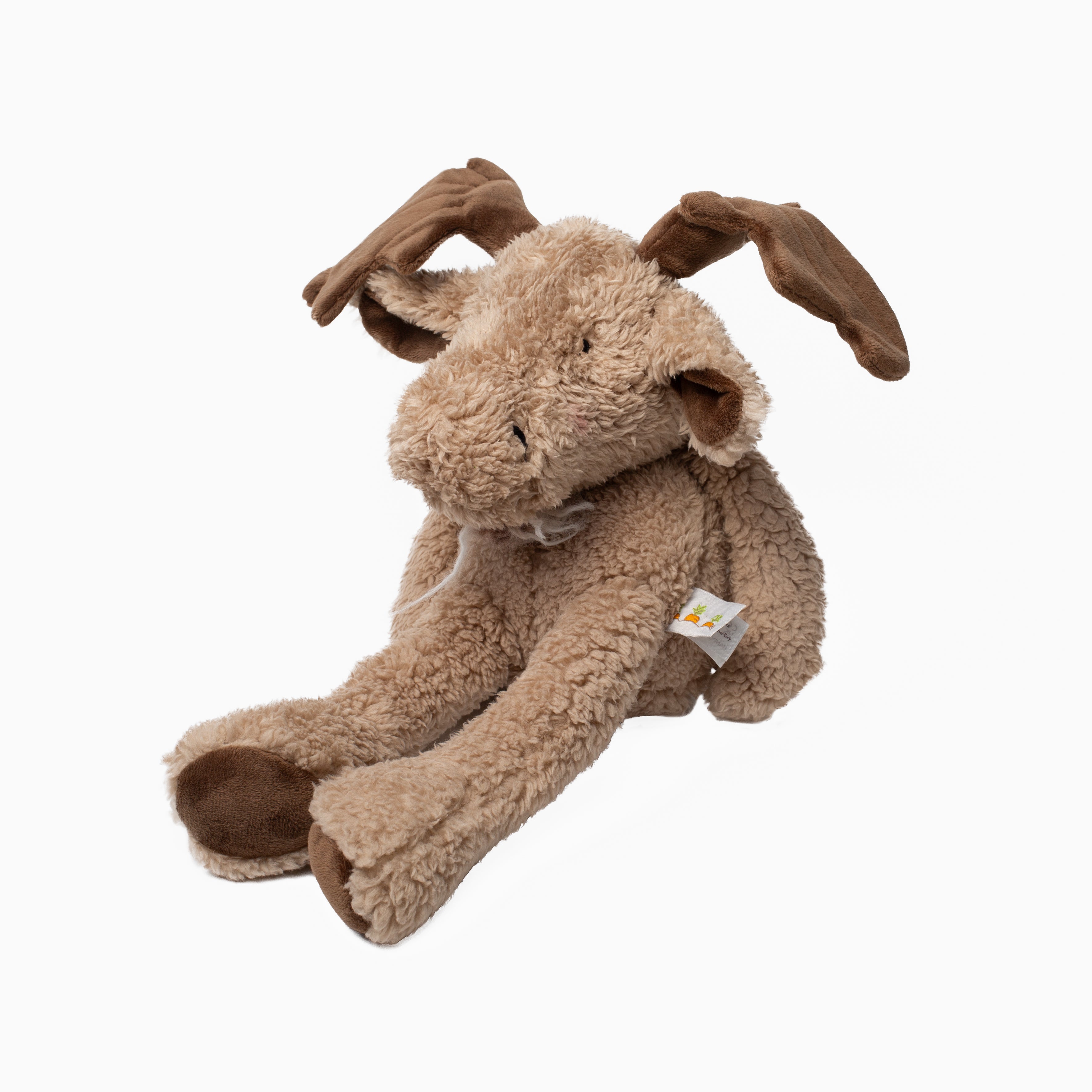 Bruce the Moose