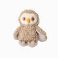 Blink Owl