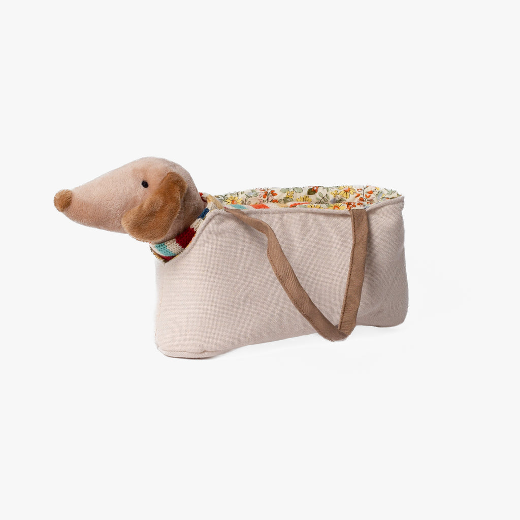 Dachshund in Dog Carrier