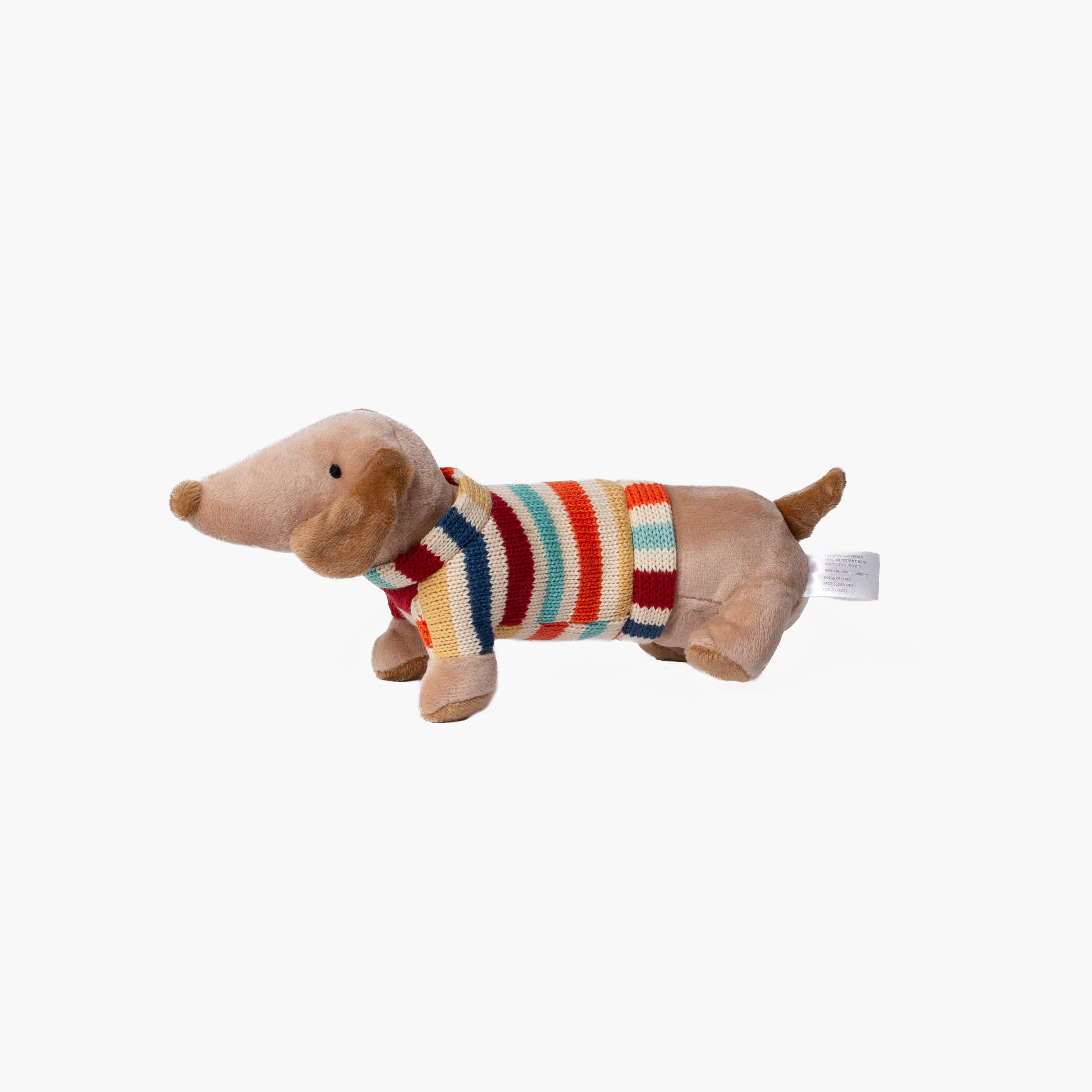 Dachshund in Dog Carrier