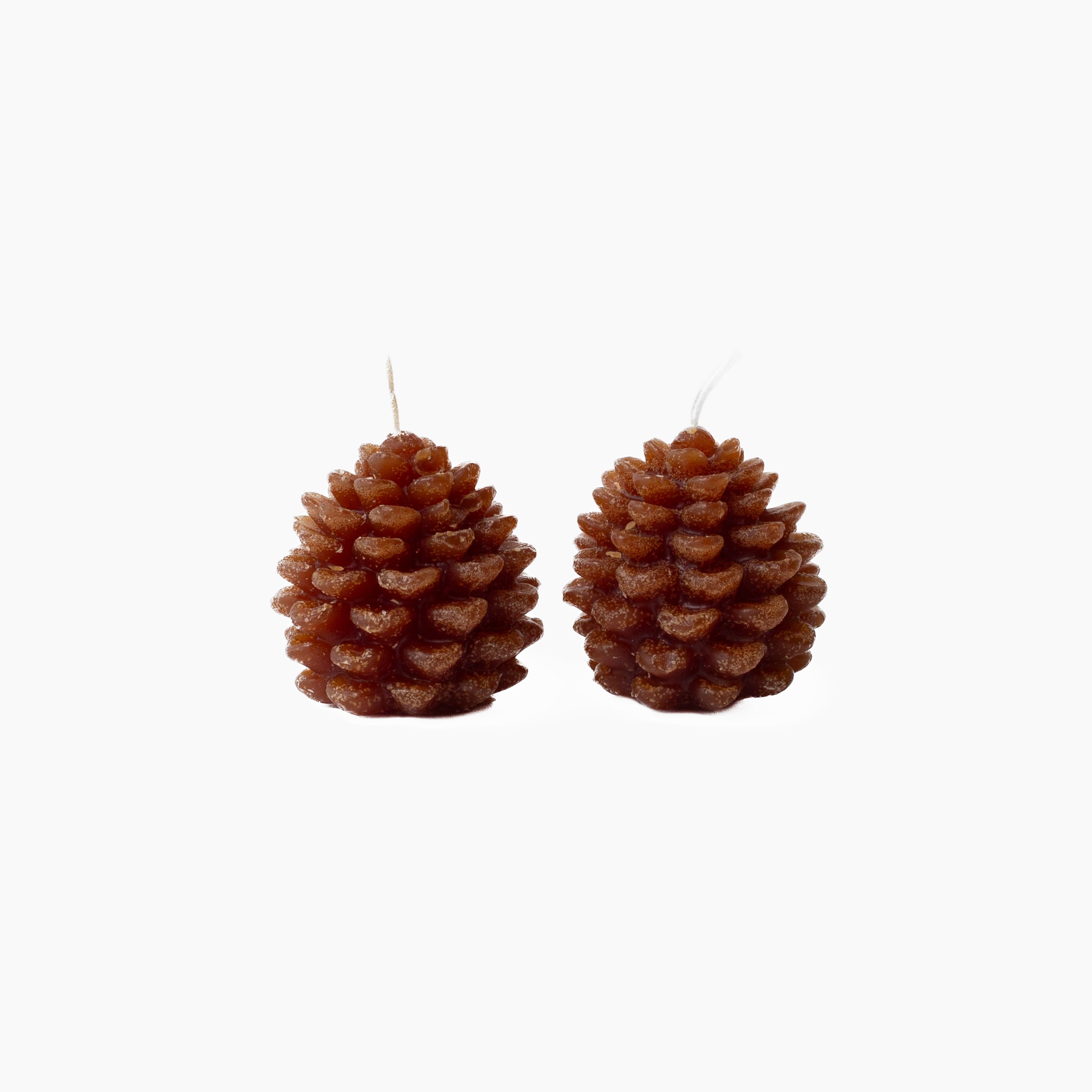 Pinecone Tea Light Set