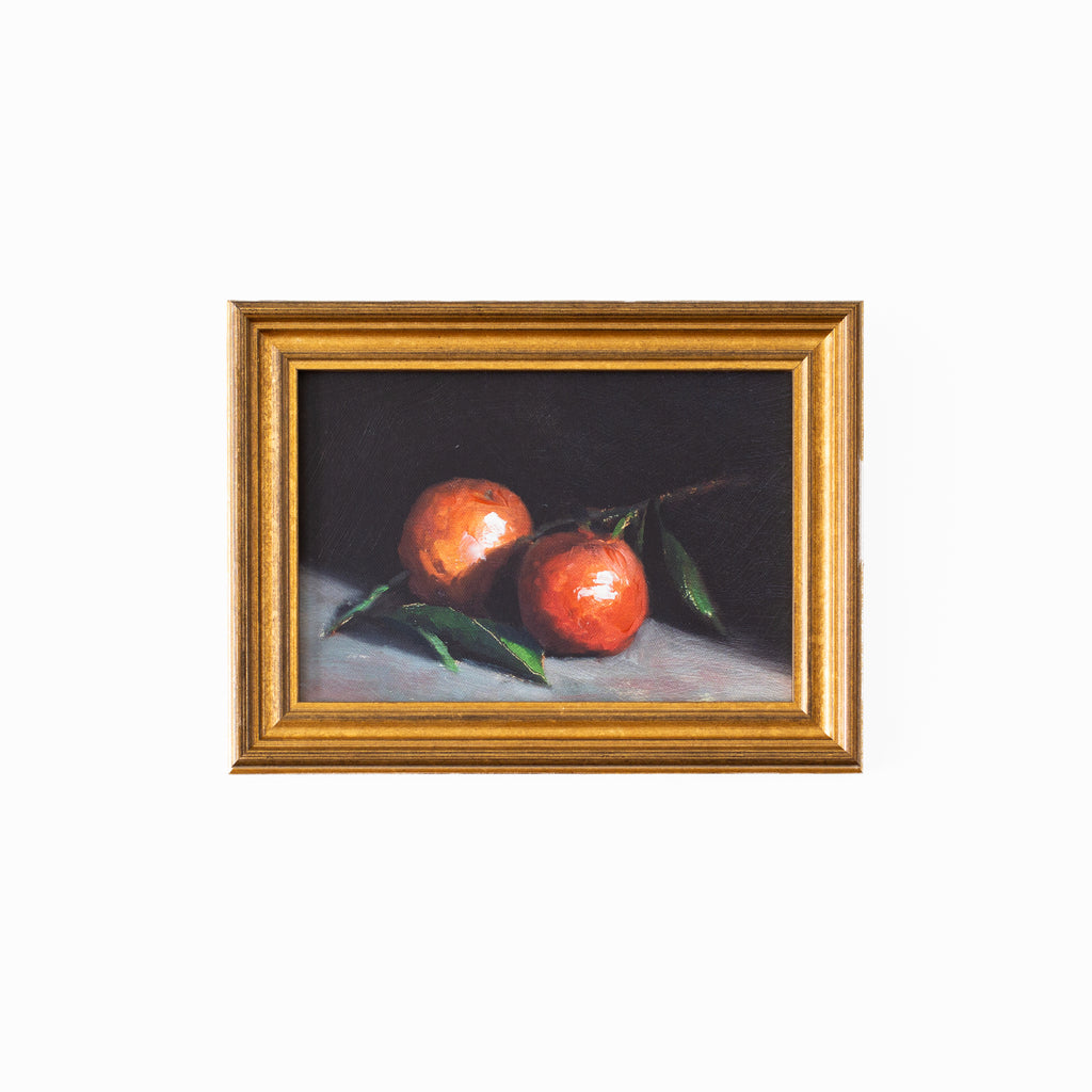 Citrus Still Life - Oranges