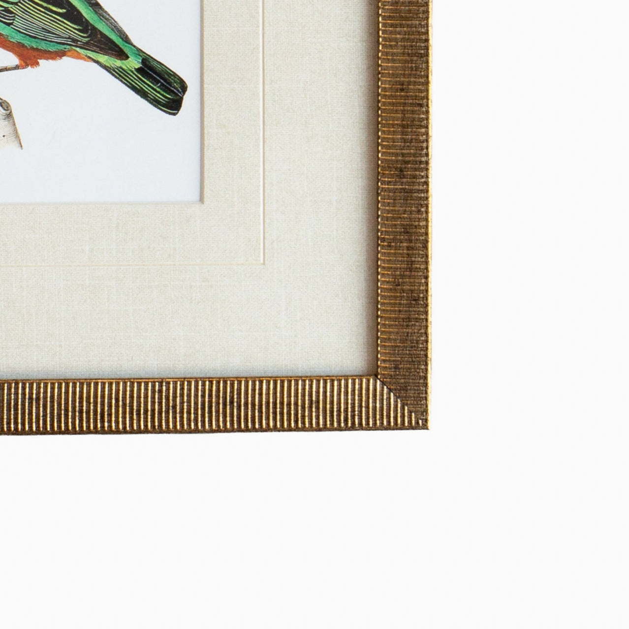 Tanager 3