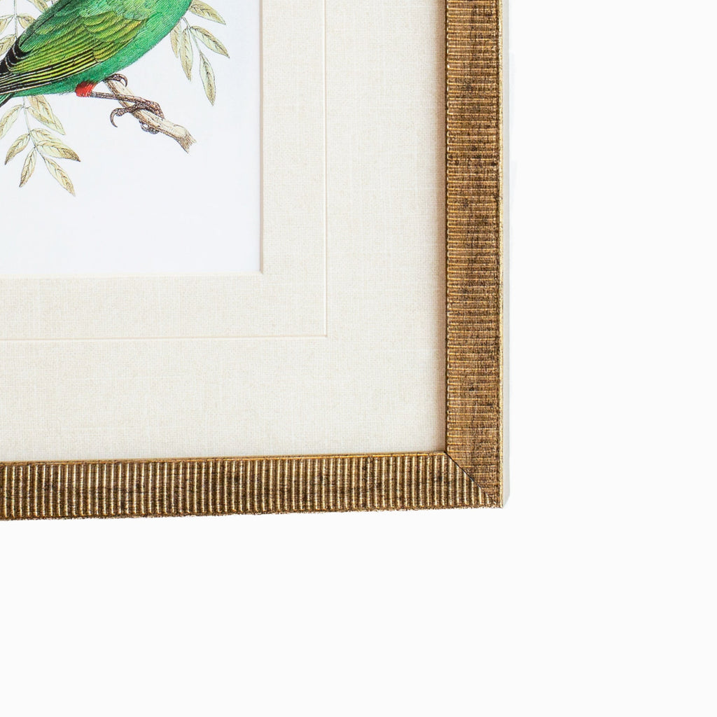 Tanager 1