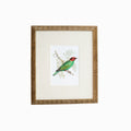 Tanager 1