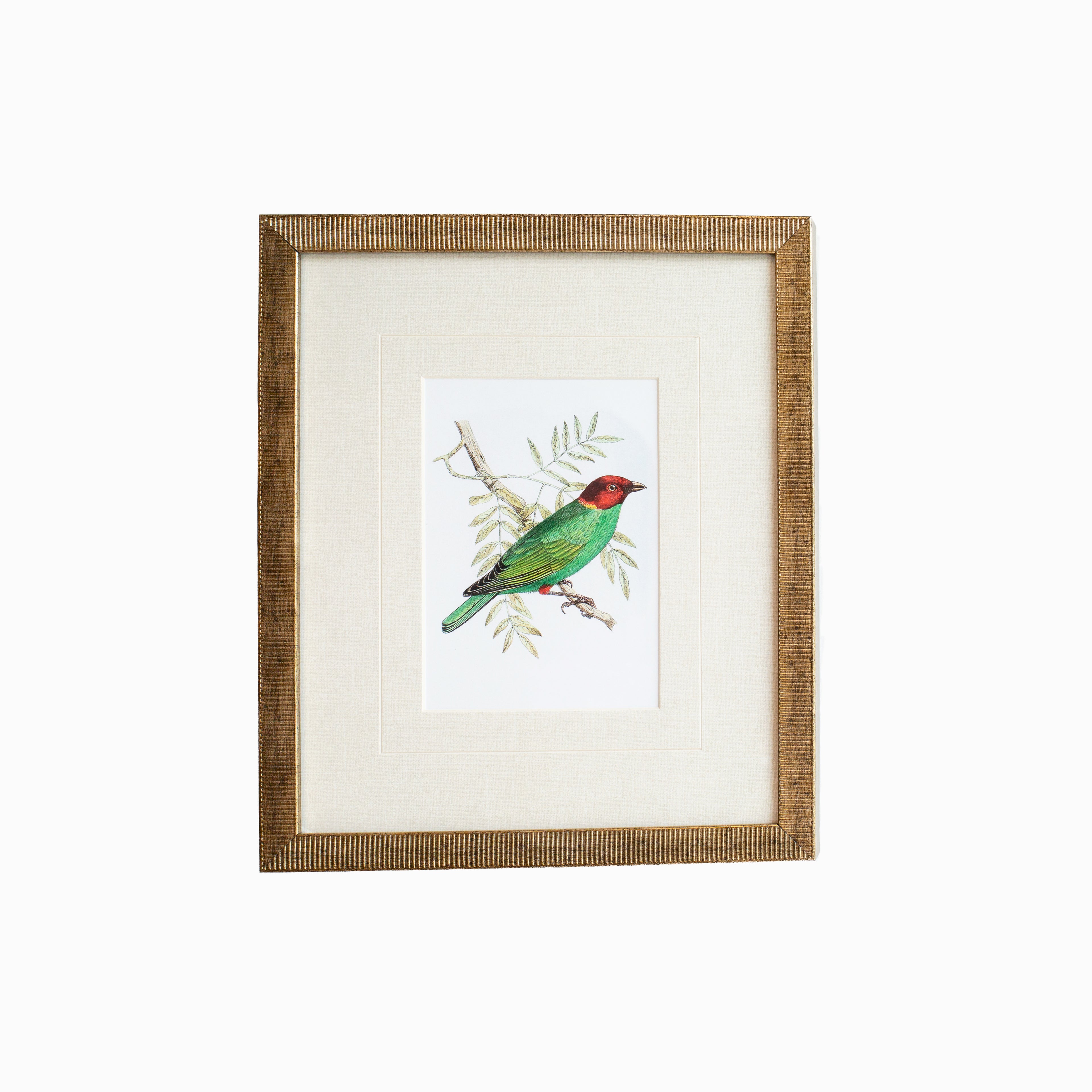 Tanager 1