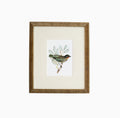 Tanager 2