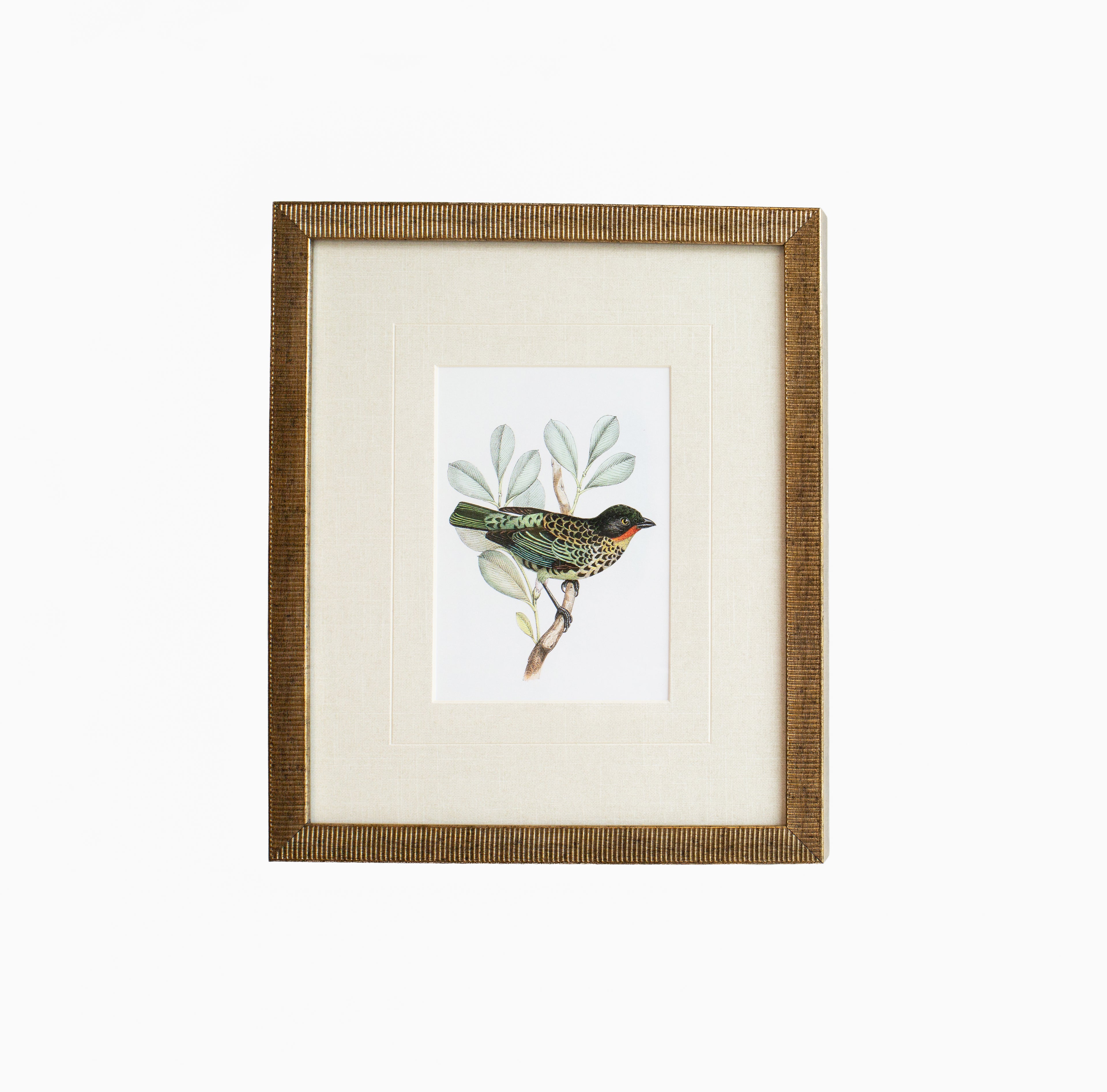 Tanager 2