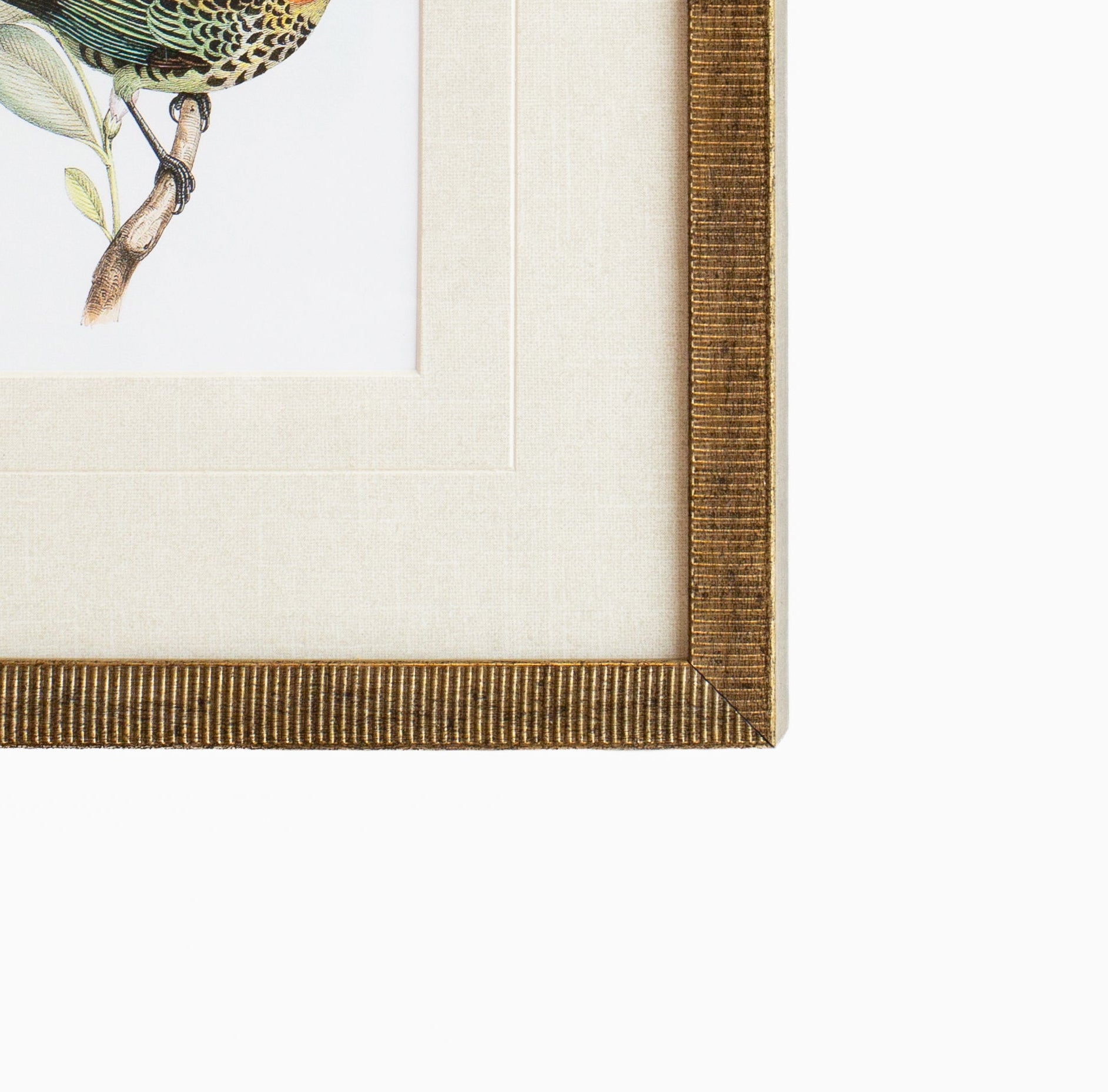 Tanager 2