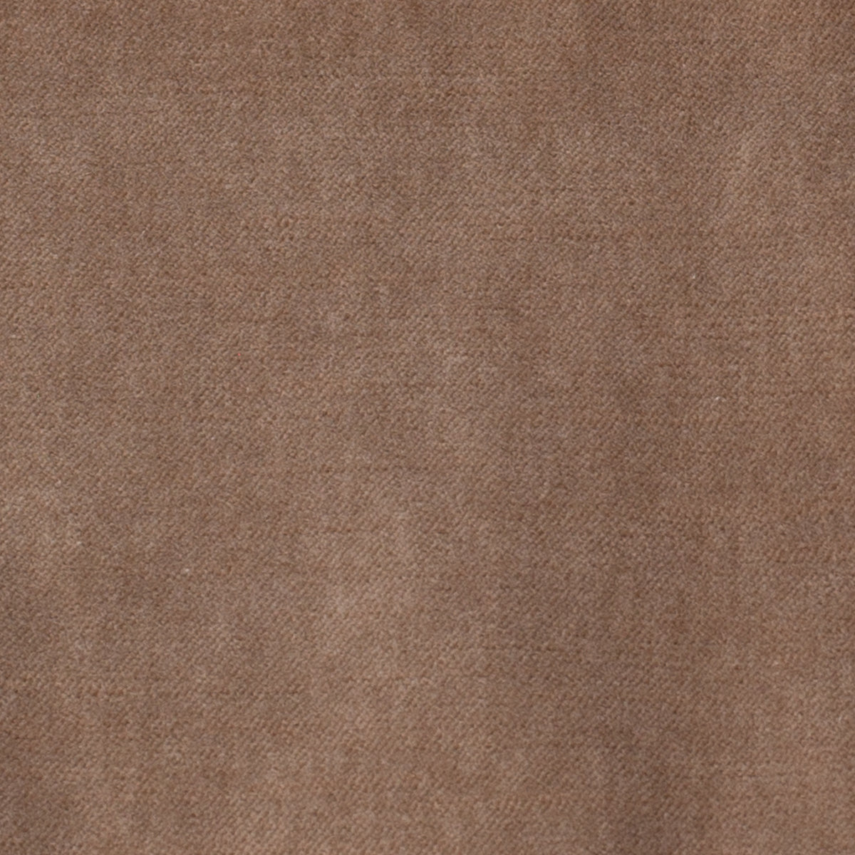Malt Velvet Fabric Swatch