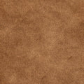 Brass Velvet Fabric Swatch