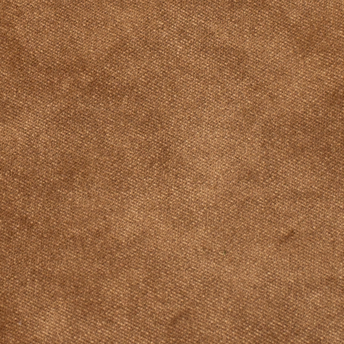 Brass Velvet Fabric Swatch