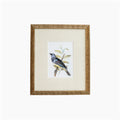 Tanager 6