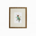 Tanager 7