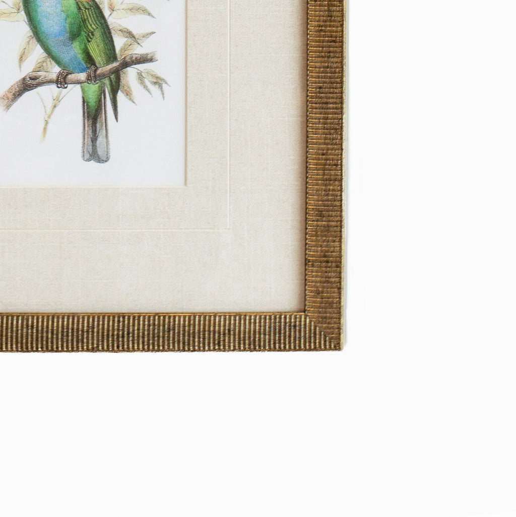 Tanager 7
