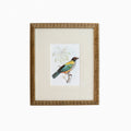 Tanager 8