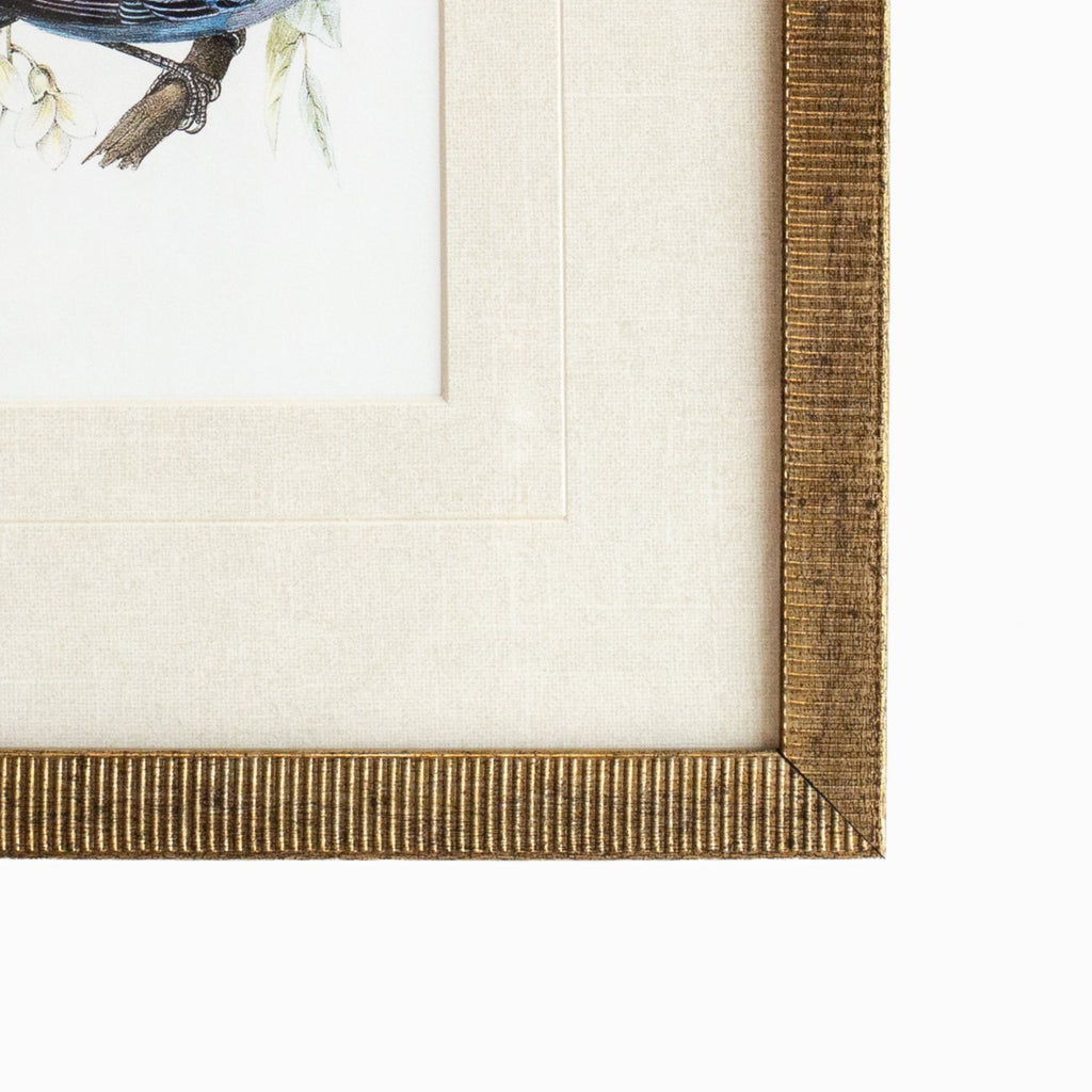 Tanager 4
