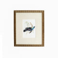 Tanager 4