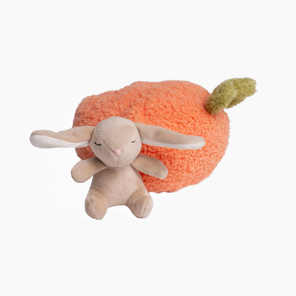 Plush Animal with Vegetable