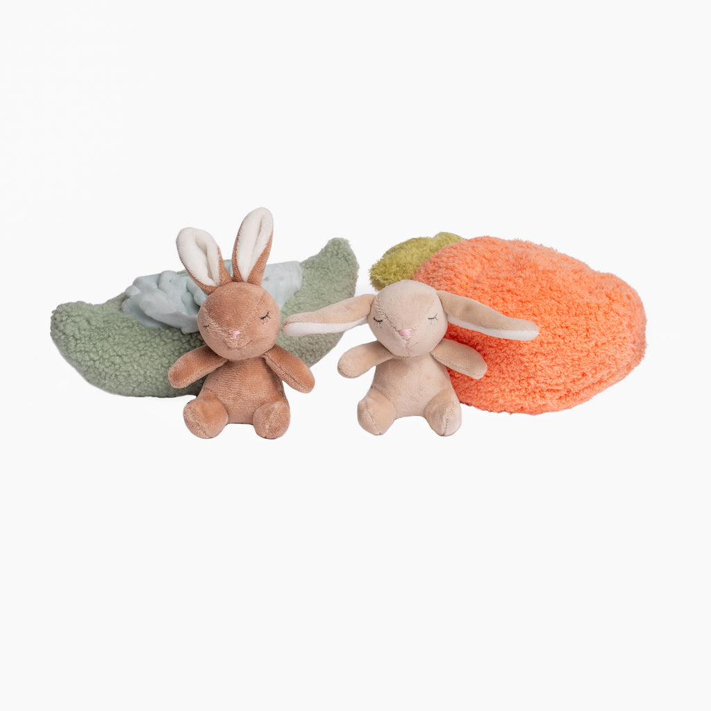 Plush Animal with Vegetable