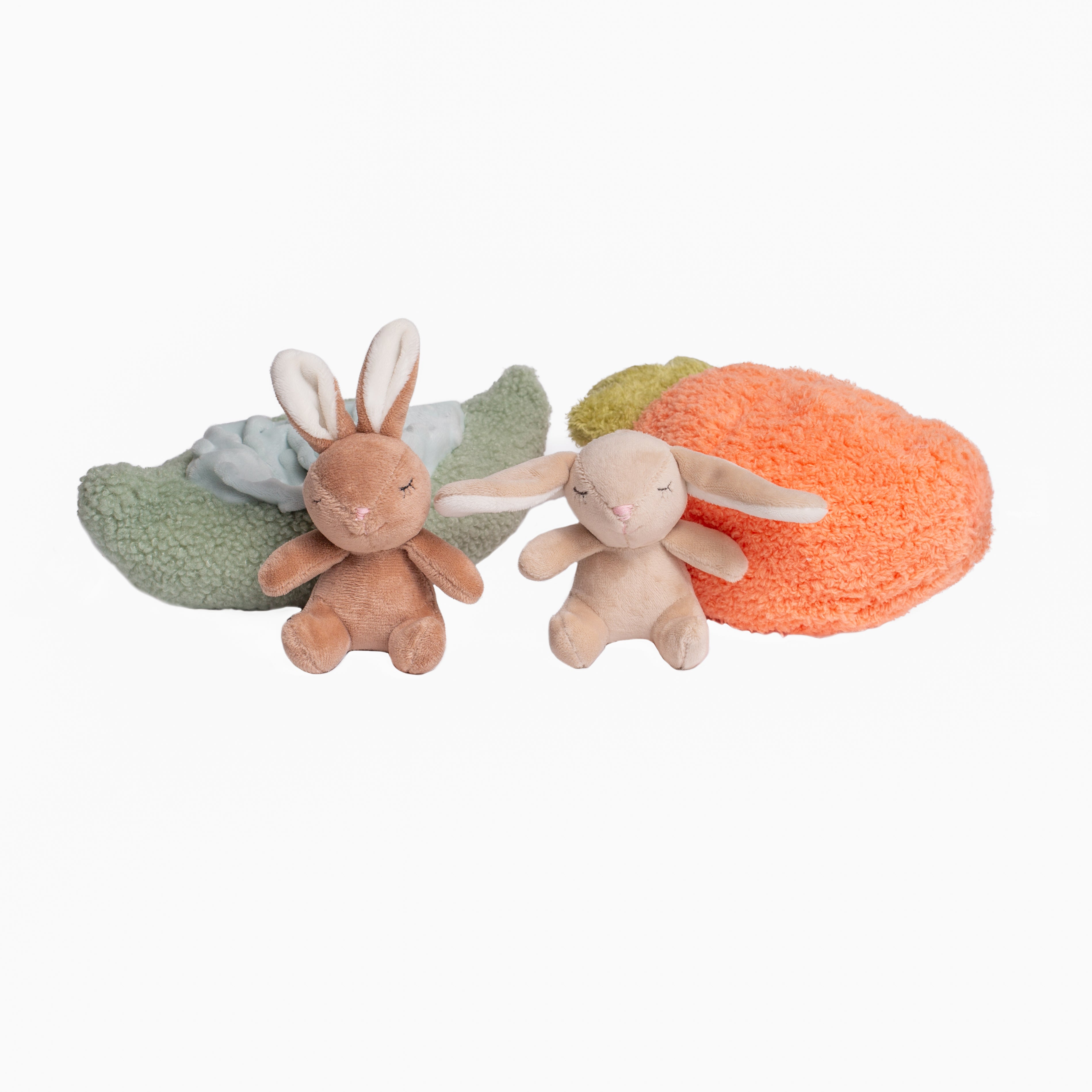 Plush Animal with Vegetable