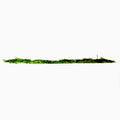 Norfolk Pine Garland 180"