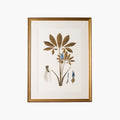 Botany Study 1