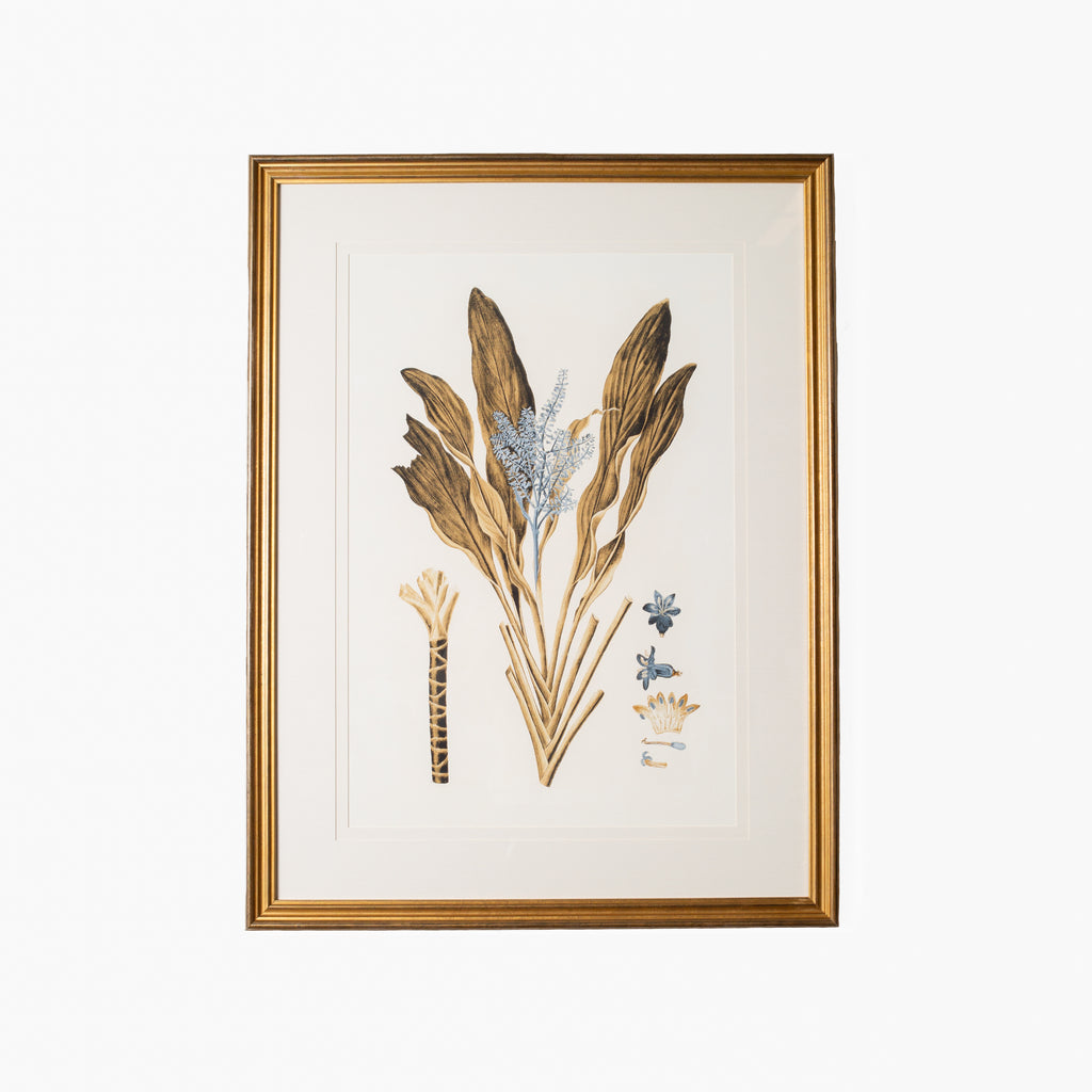 Botany Study 6