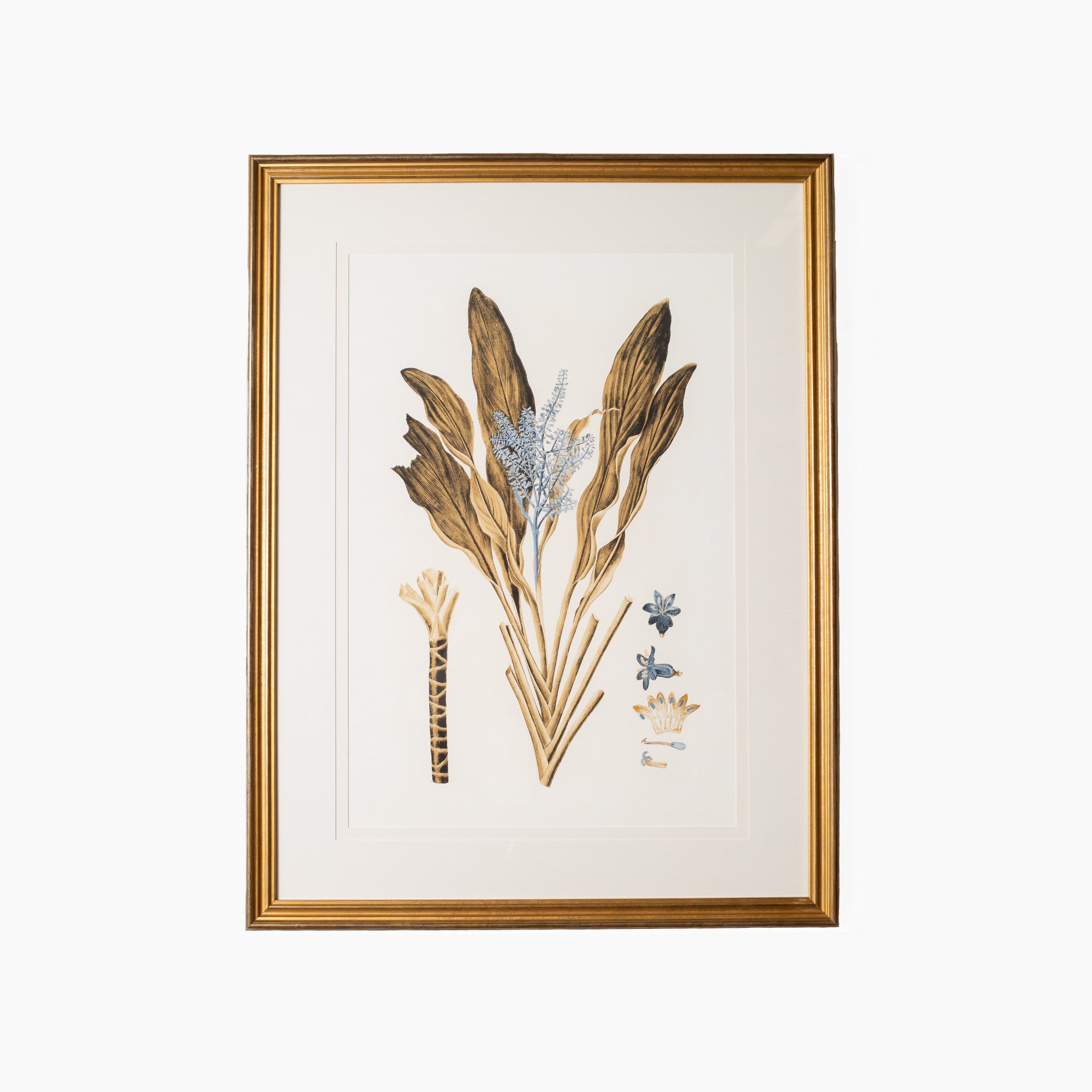 Botany Study 6