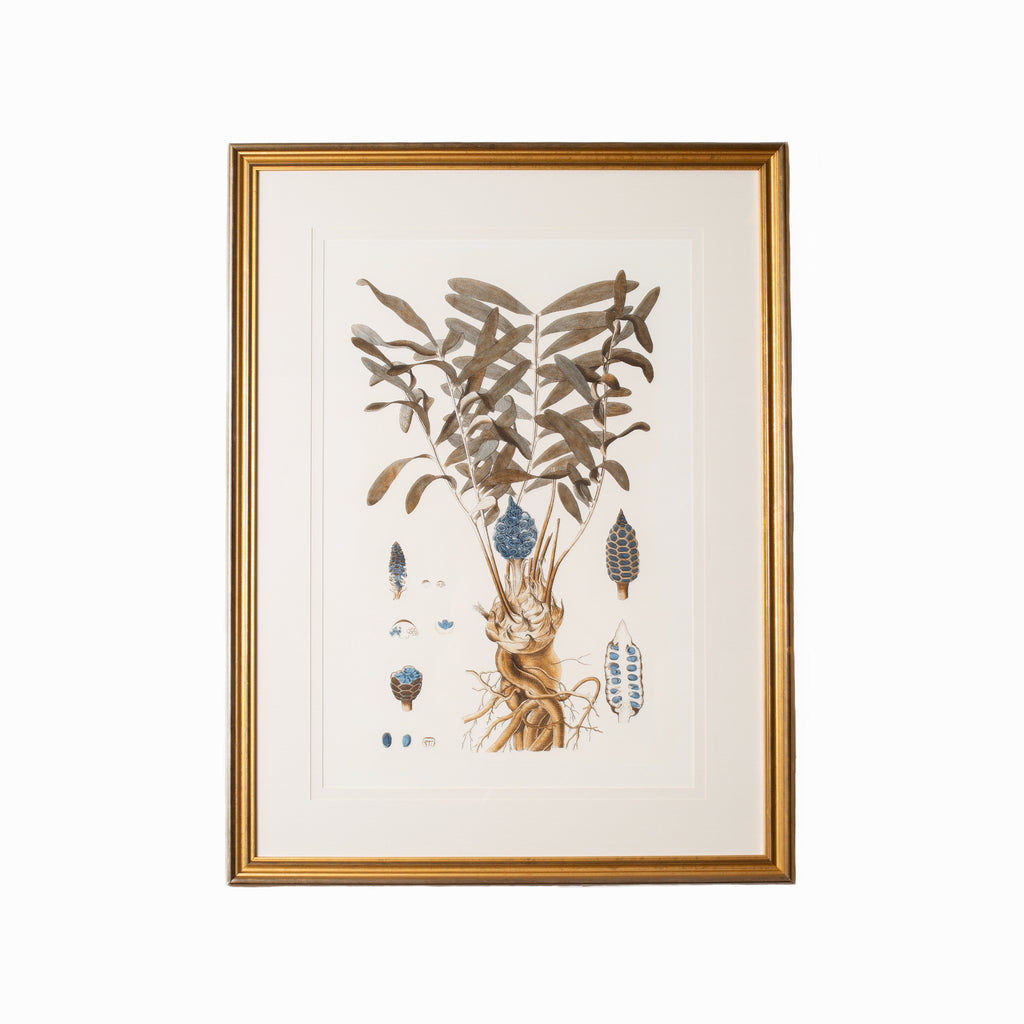 Botany Study 2