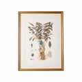 Botany Study 2