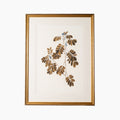 Botany Study 4