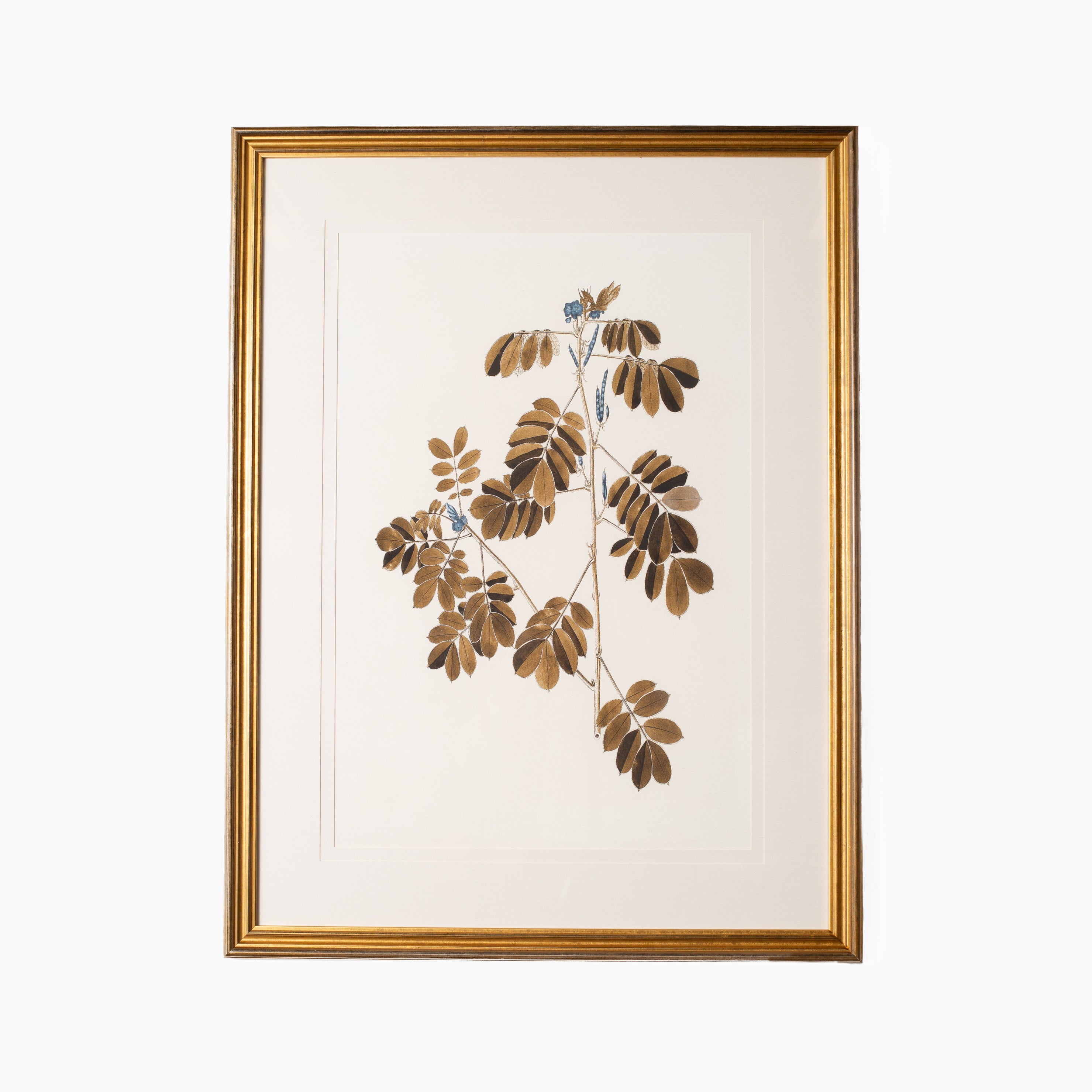 Botany Study 4
