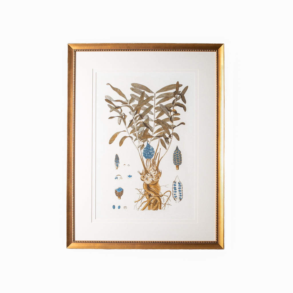 Botany Study 2