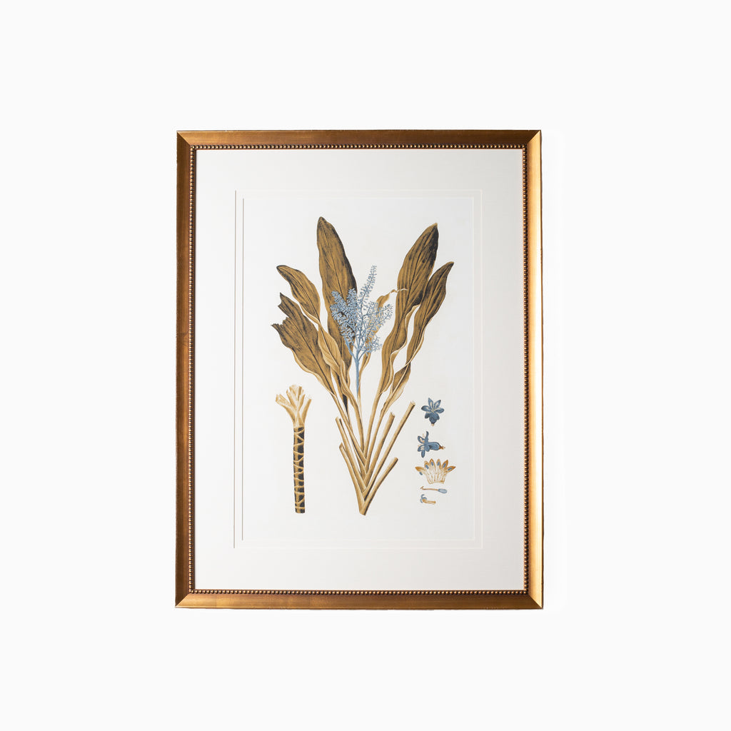 Botany Study 6