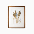Botany Study 6