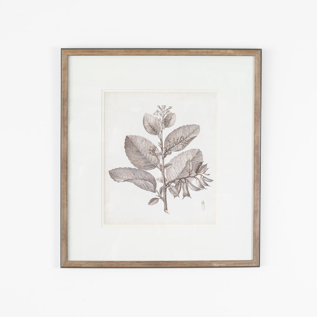 Antique Sepia Botanical V