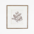 Antique Sepia Botanical V