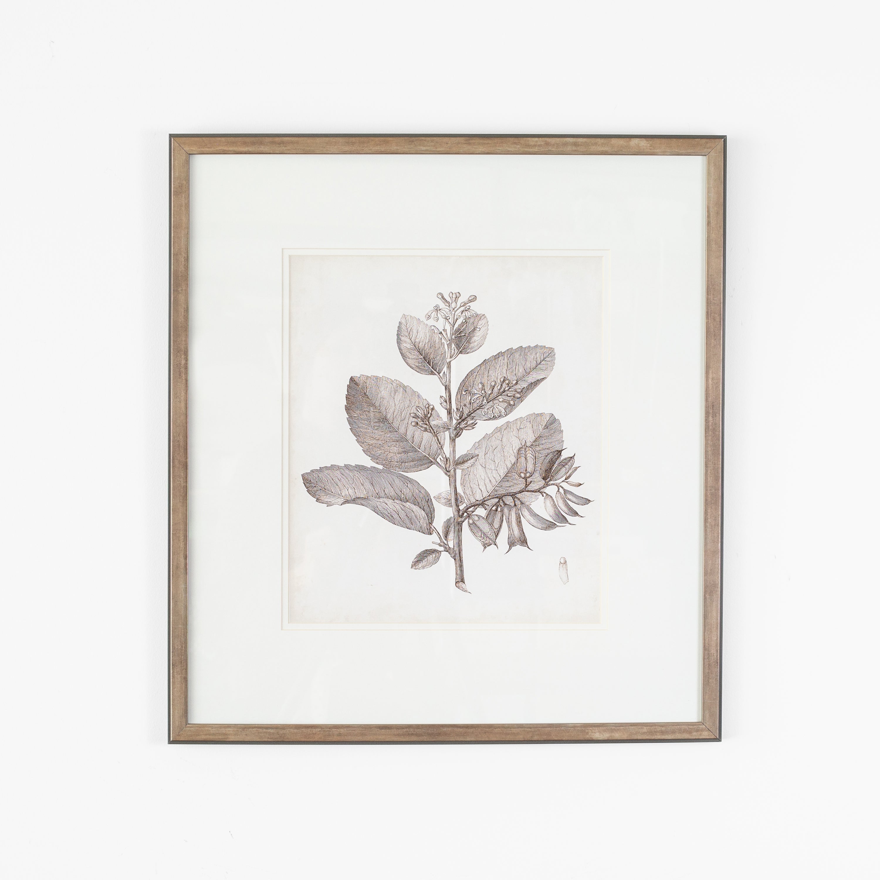 Antique Sepia Botanical V