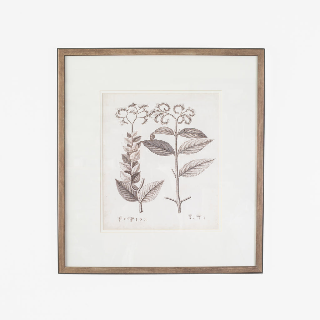 Antique Sepia Botanical VI