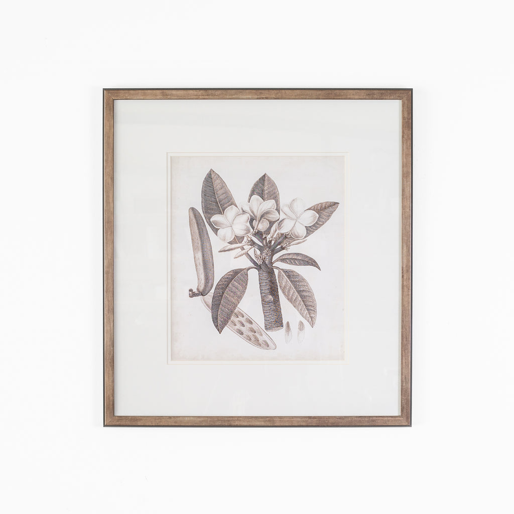 Antique Sepia Botanical VII