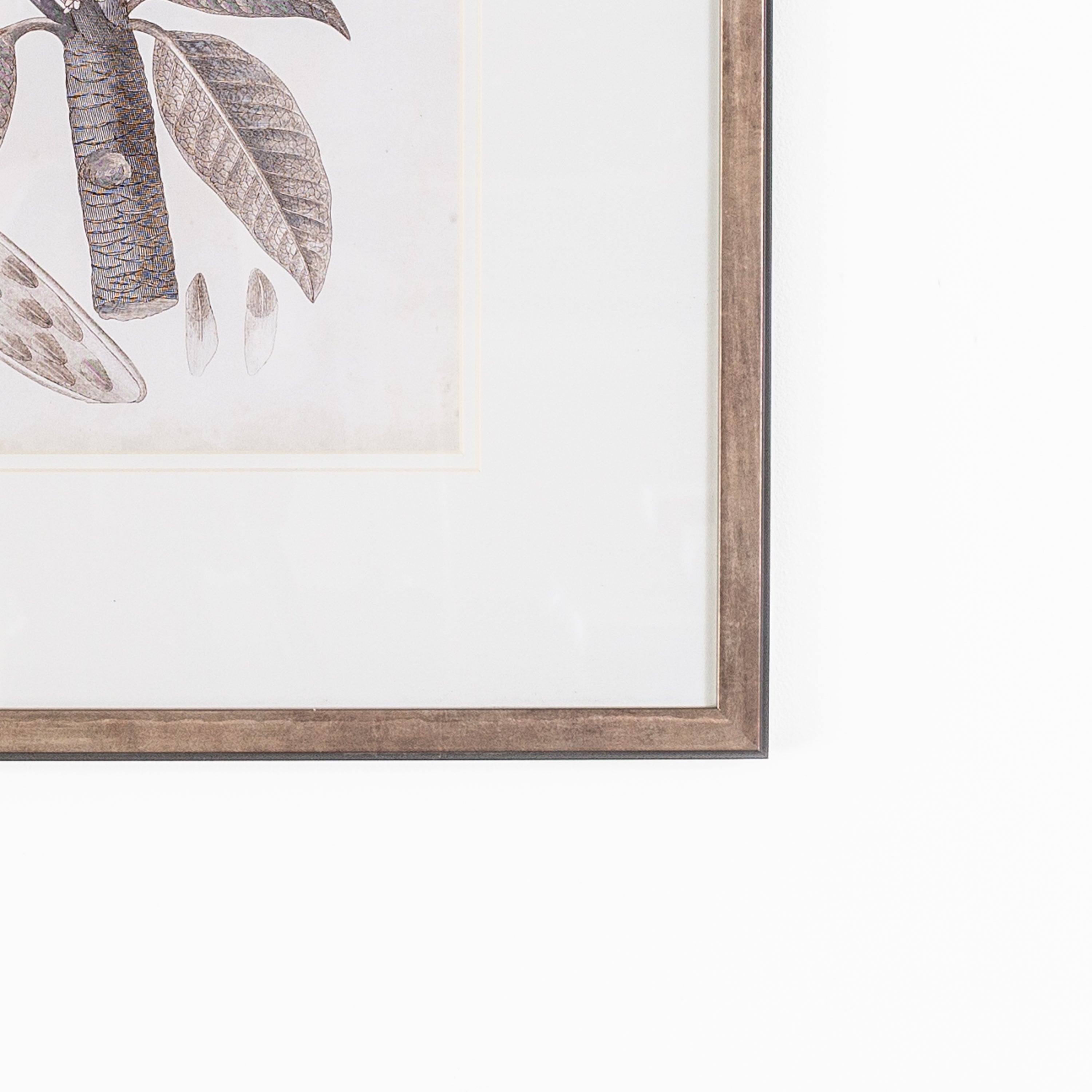 Antique Sepia Botanical VII