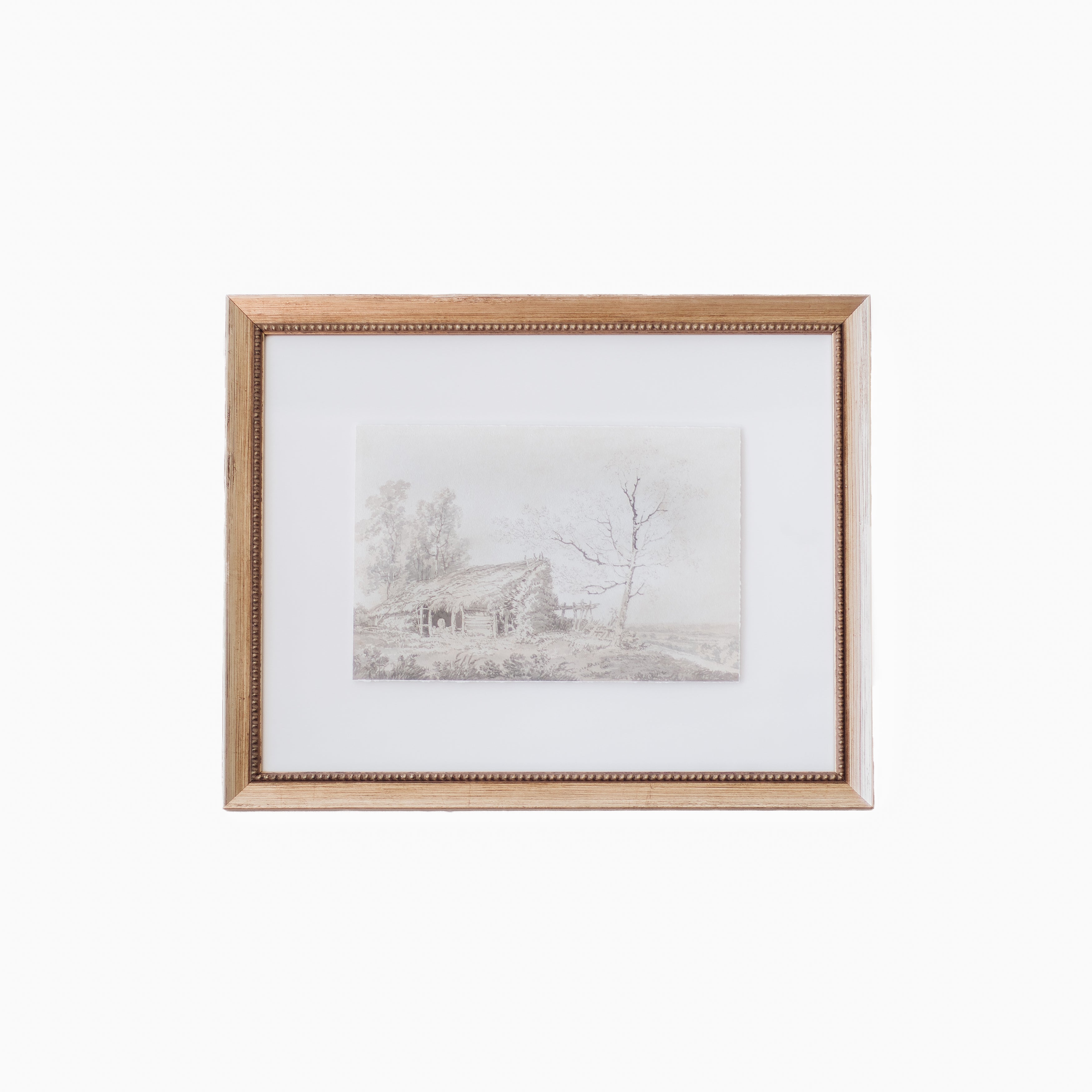 Transitional Study 10
