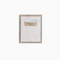 Transitional Study 7