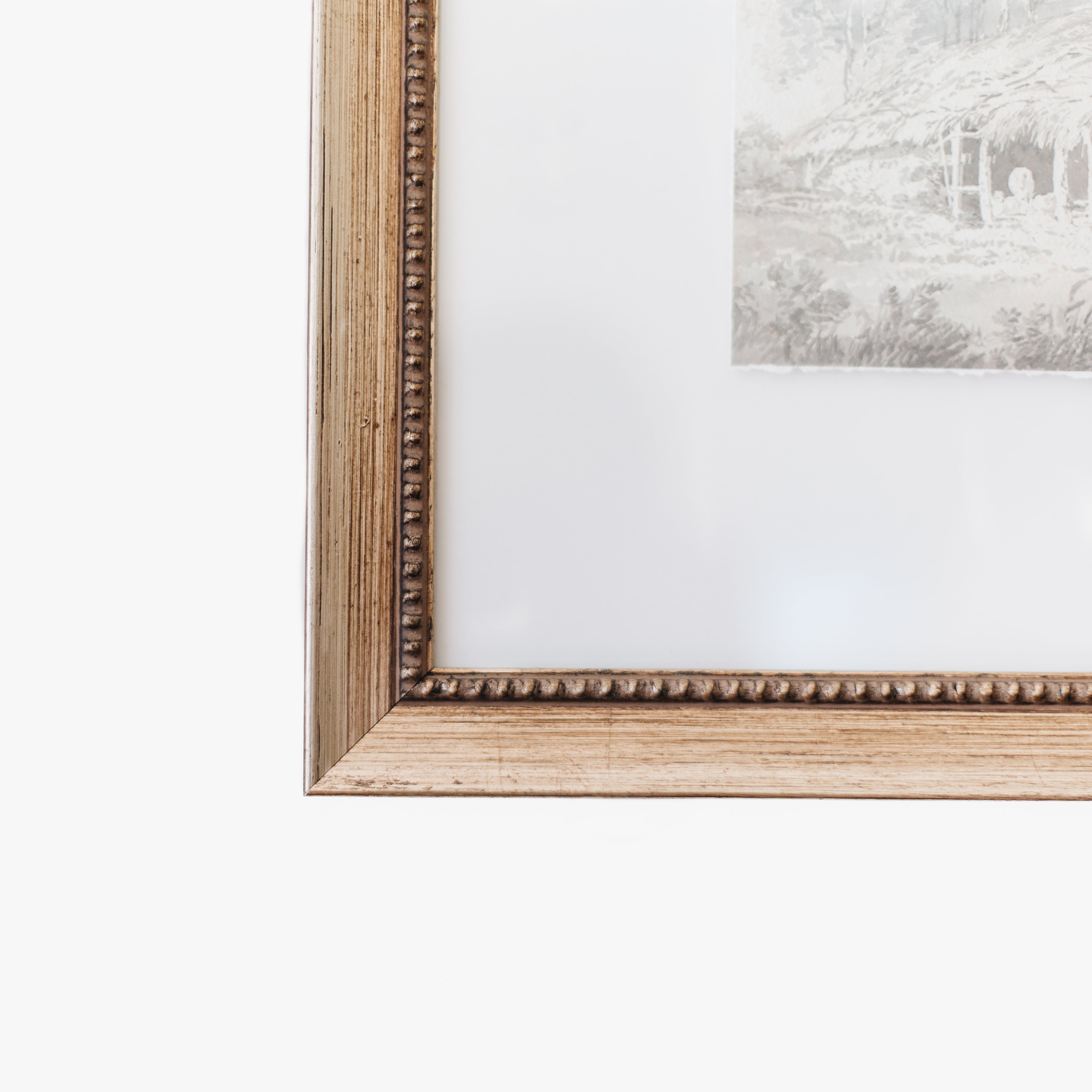 Transitional Study 10